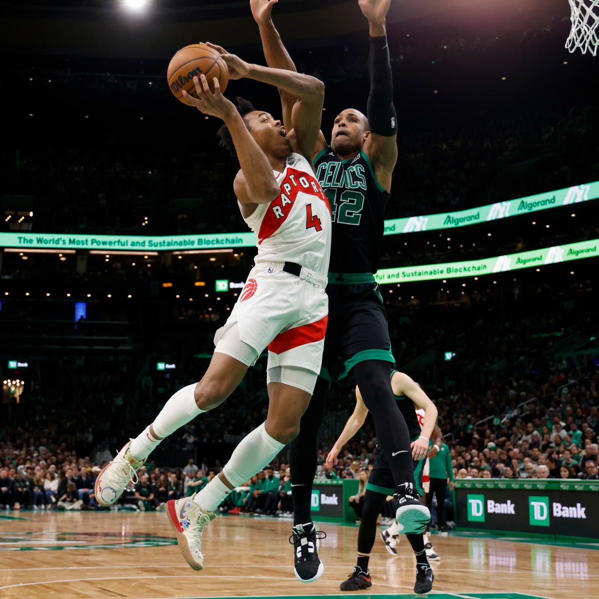 Sam Hauser Scores Career-High 26 Points in Celtics' Win Over Raptors -  Sports Illustrated Virginia Cavaliers News, Analysis and More