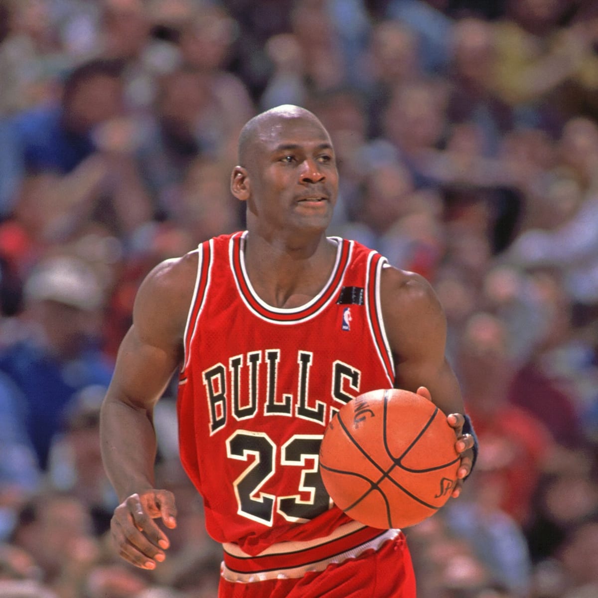 Chicago Bulls: Michael Jordan and the 50 Greatest Bulls of All