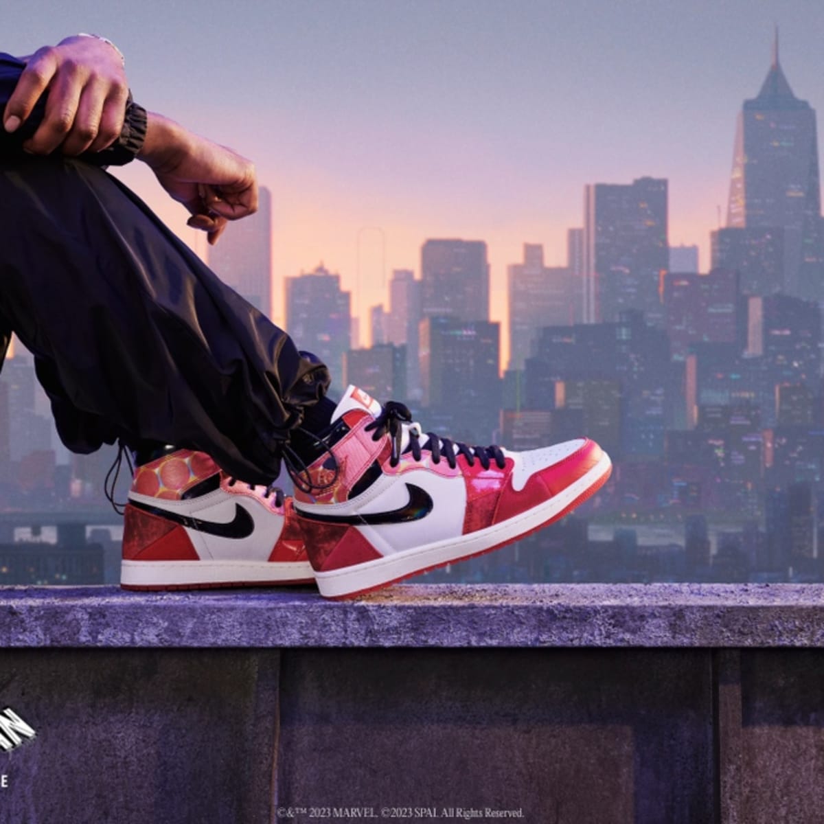Nike Air Jordan 1 (Limited Edition)