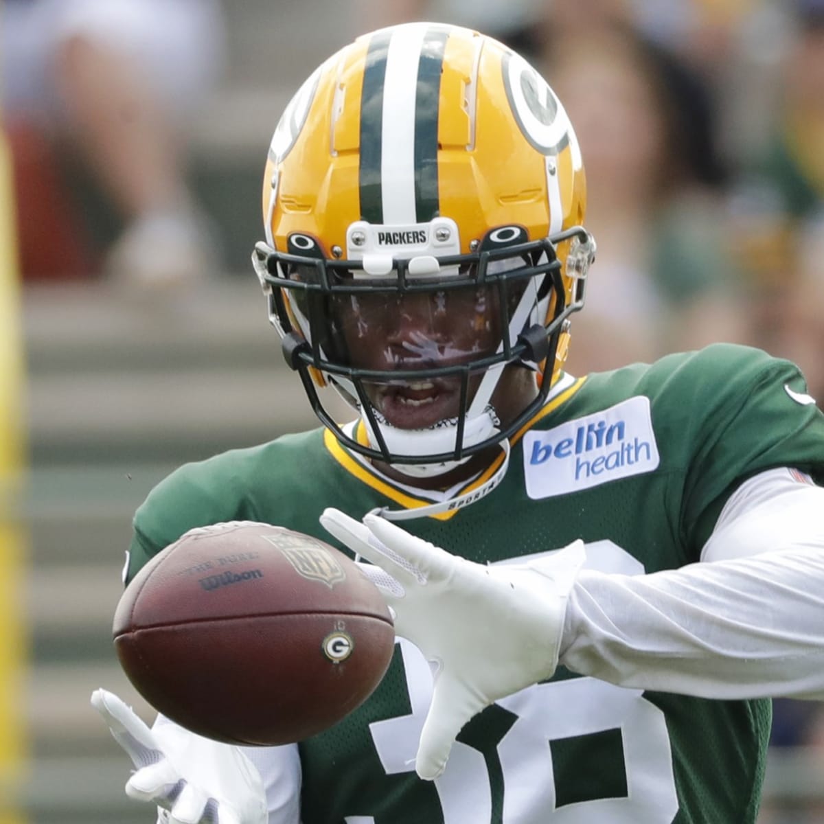 Packers Elevate Patrick Taylor, Innis Gaines: What Transactions