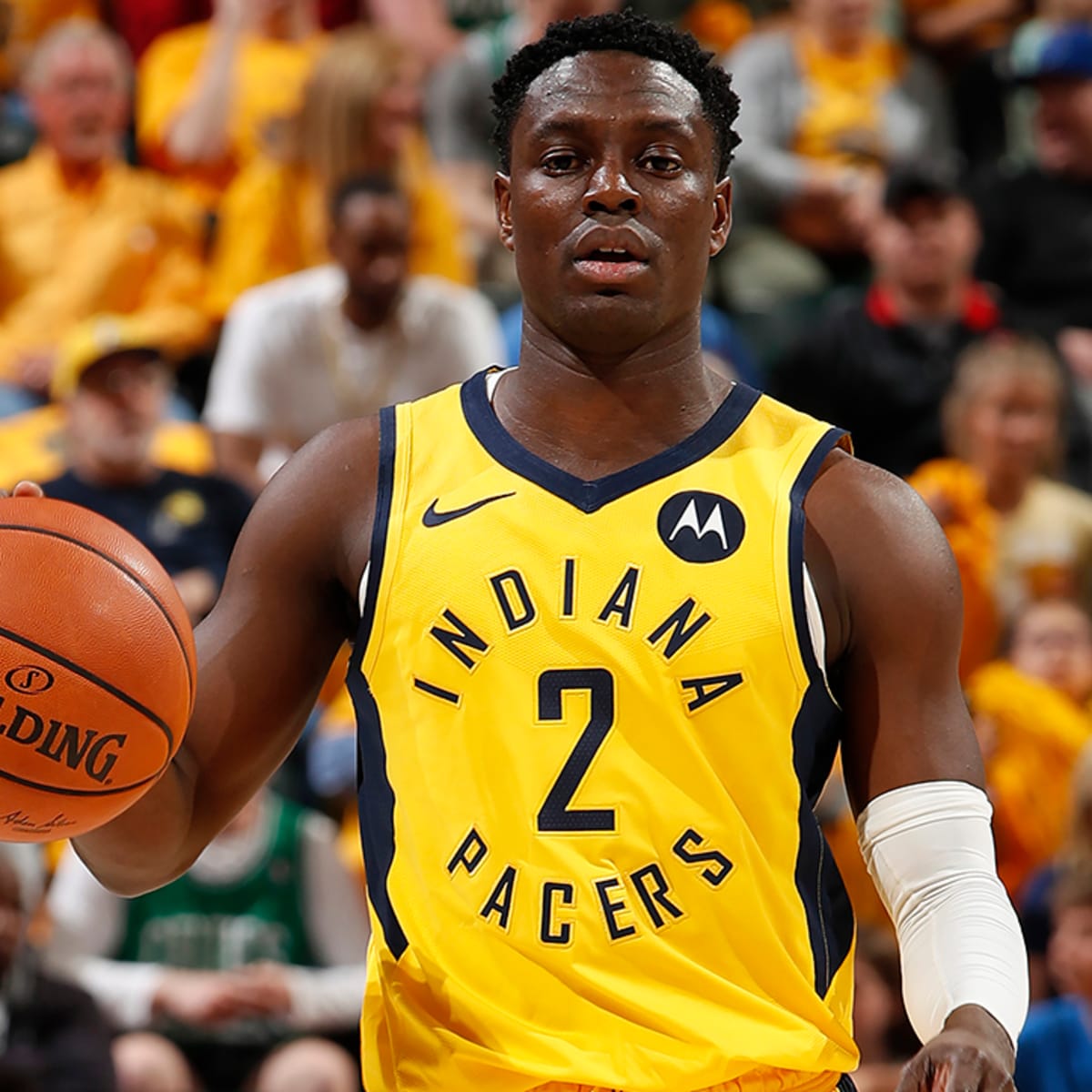 darren collison