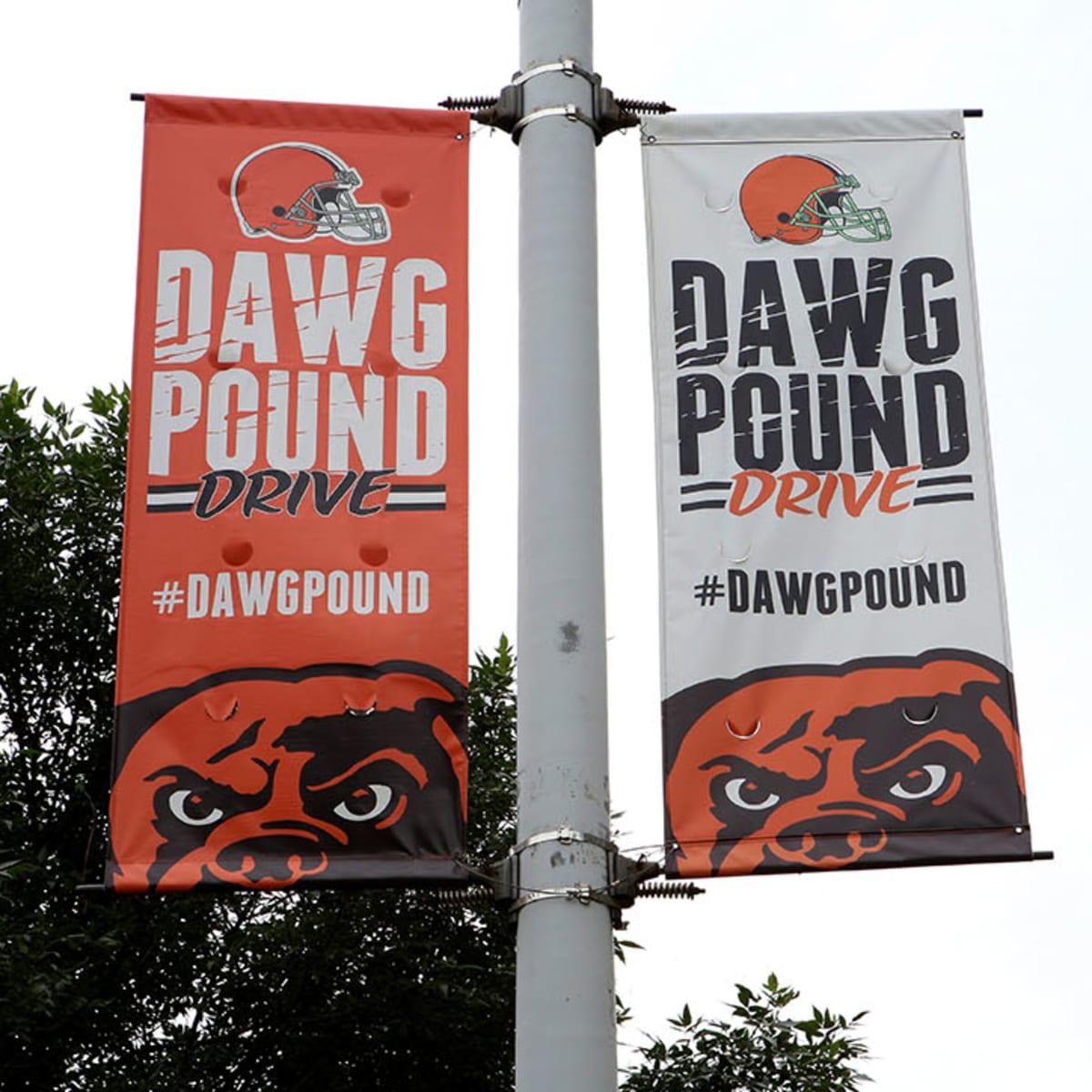 Dawg Pound Porno - Browns dysfunction on full display during alleged porn broadcast - Sports  Illustrated