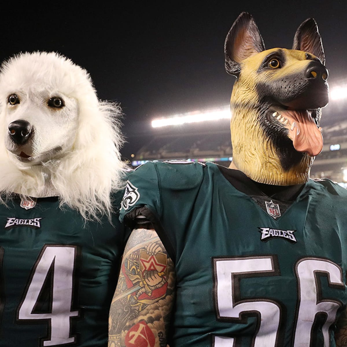 philadelphia eagles dog shirt