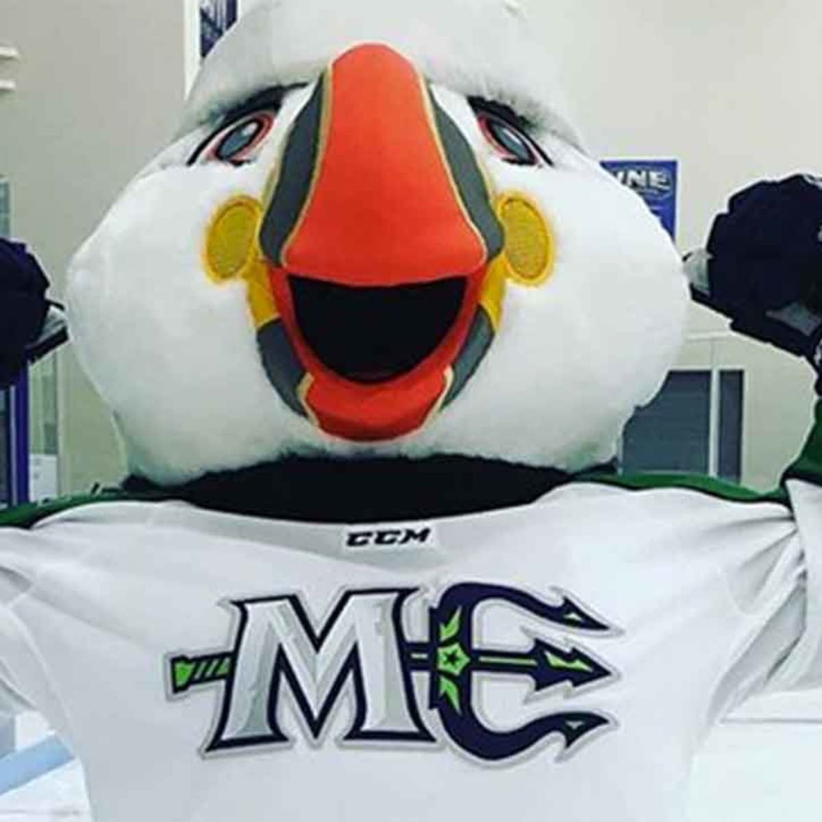 Maine Mariners introduce Beacon the Puffin as mascot - Sports