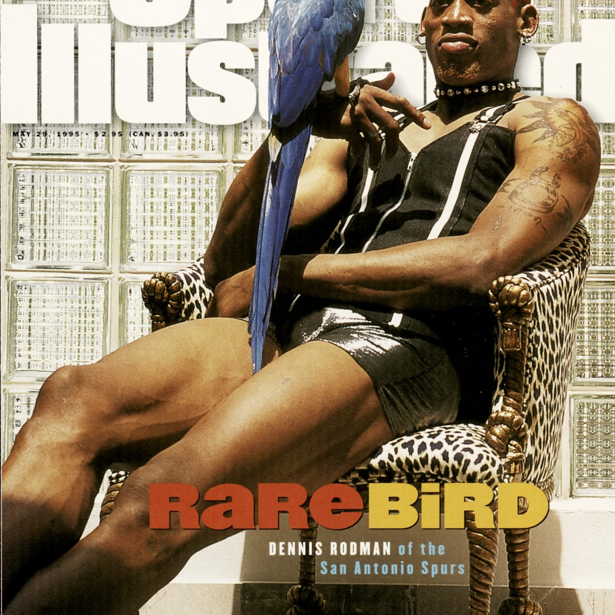 Los Angeles Lakers Dennis Rodman Sports Illustrated Cover by Sports  Illustrated