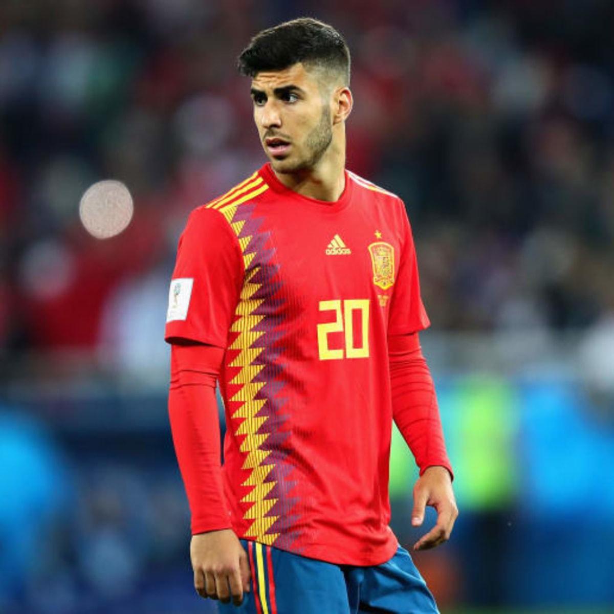 Marco asensio spain. Вино испанское оле. Оле испанский. Оле испания вино. Asensio испания.