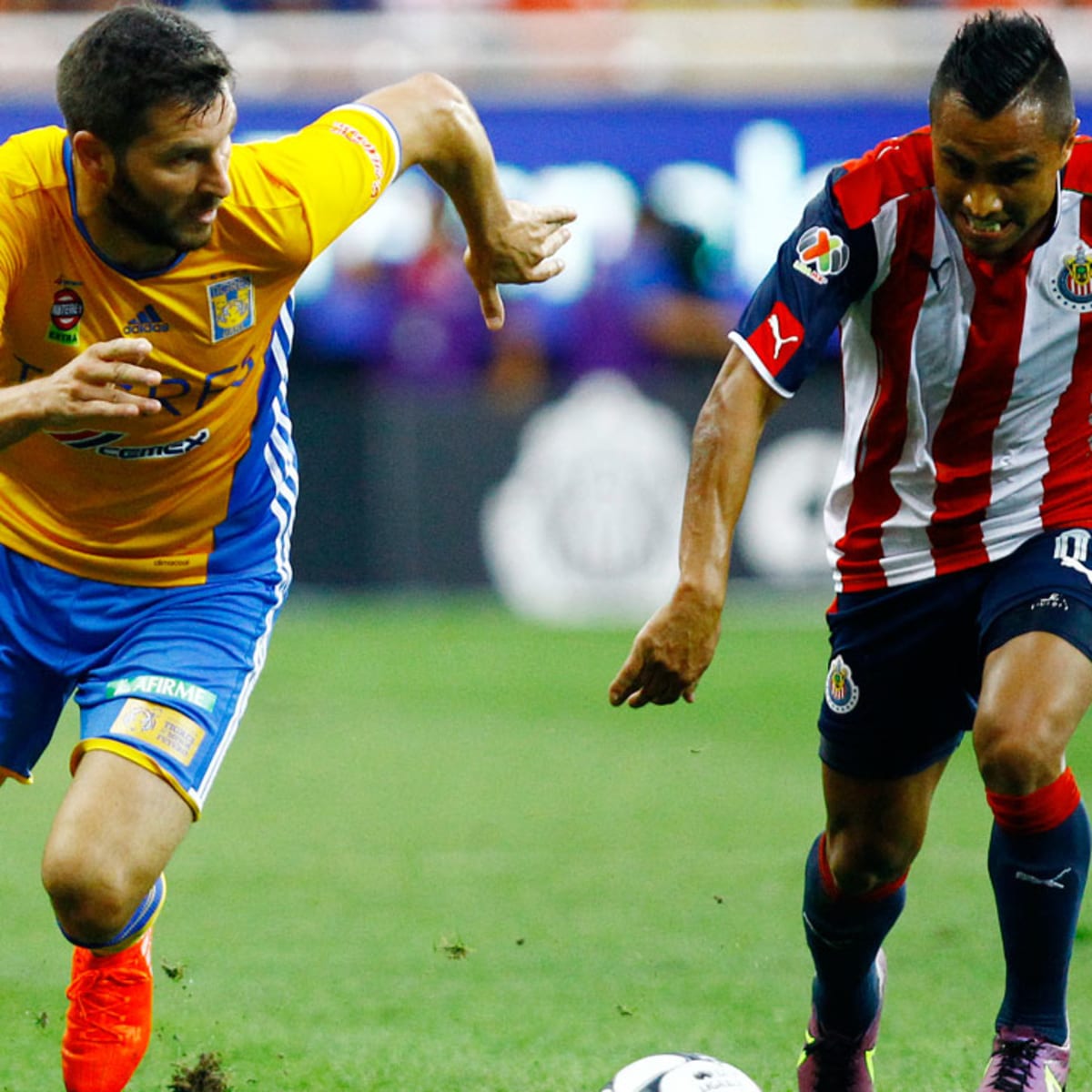 Guadalajara - Tigres: Liga MX: Tigres are Clausura champs after 'bananas'  final against Chivas - Liga Mexicana Clausura