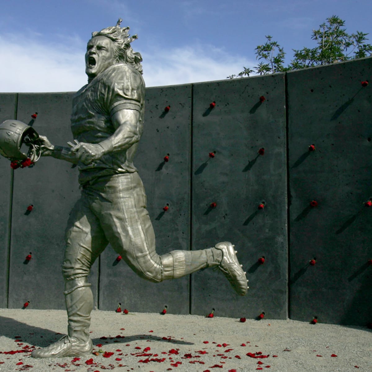 Pat Tillman Foundation Scholarship1