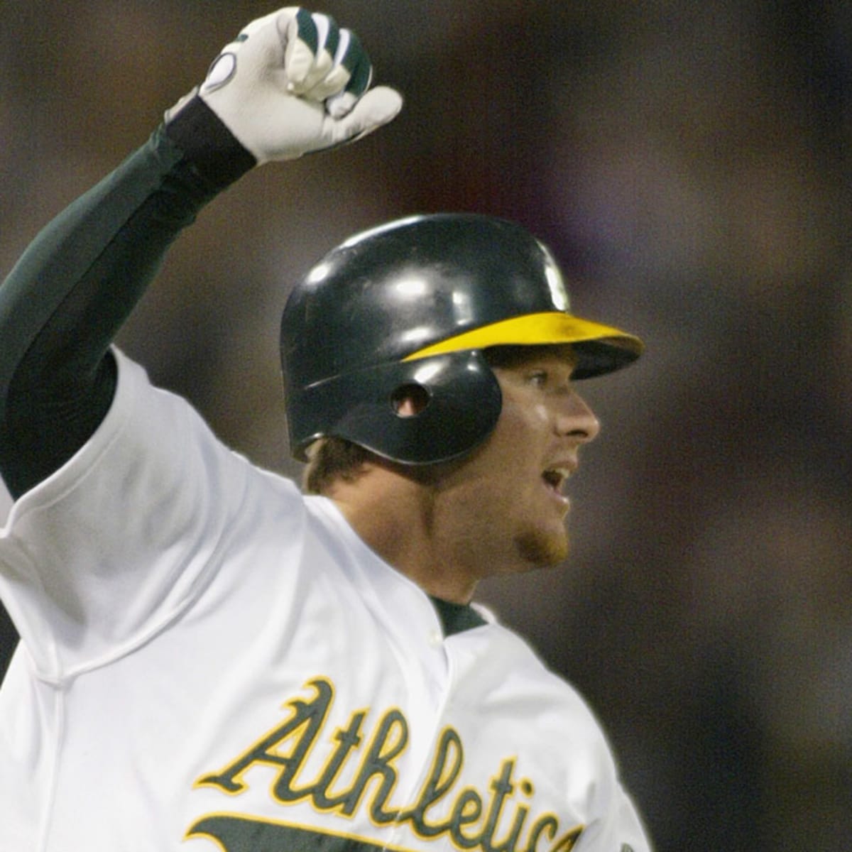 piston regenerator minor athletics baseball 2002 populație Arborele