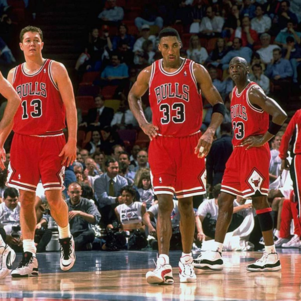 1995-1996 Chicago Bulls Team Framed 8x10 Photo With Jordan, Rodman, Pippen