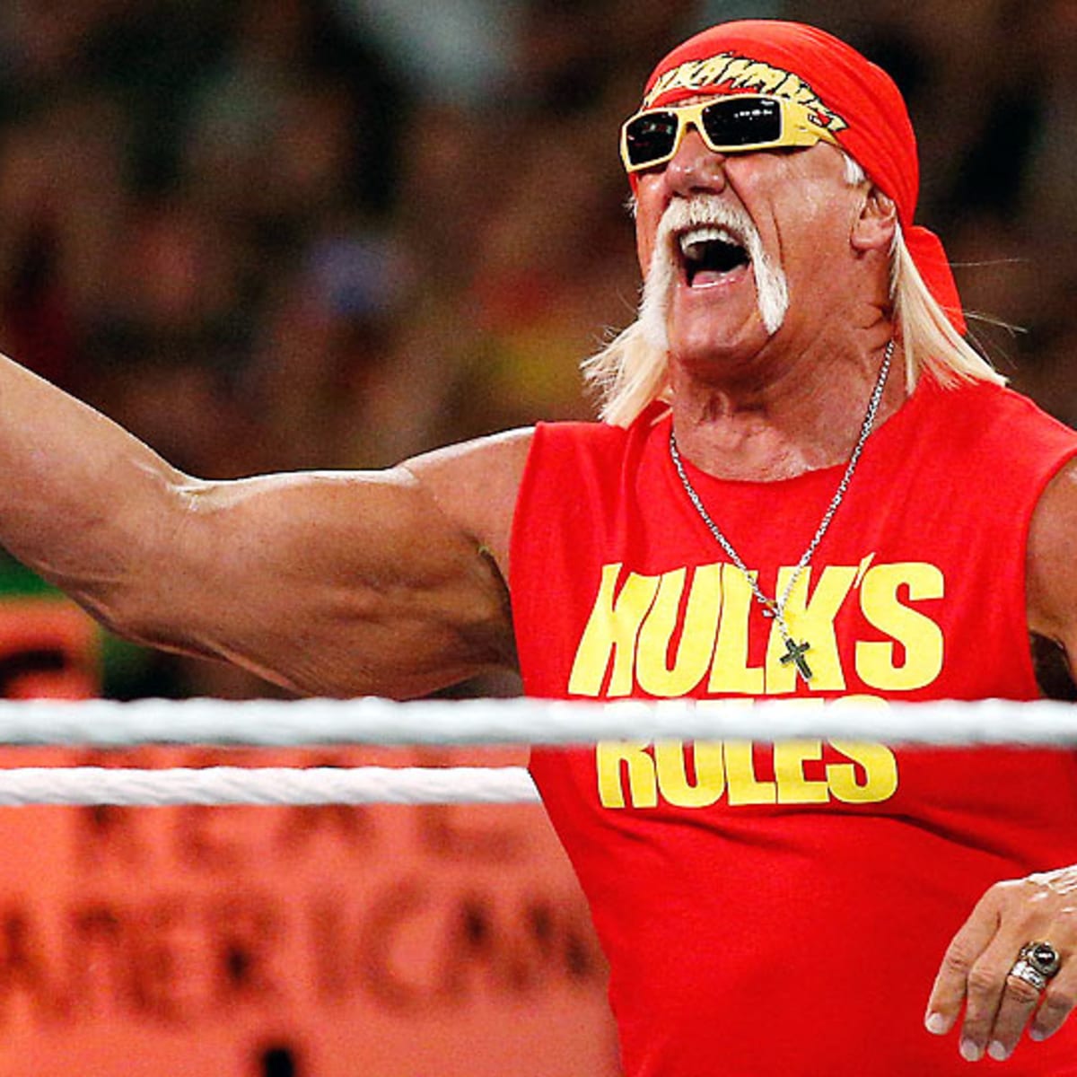 Hulk Hogan sex tape Can he win $100M lawsuit vs Gawker? pic