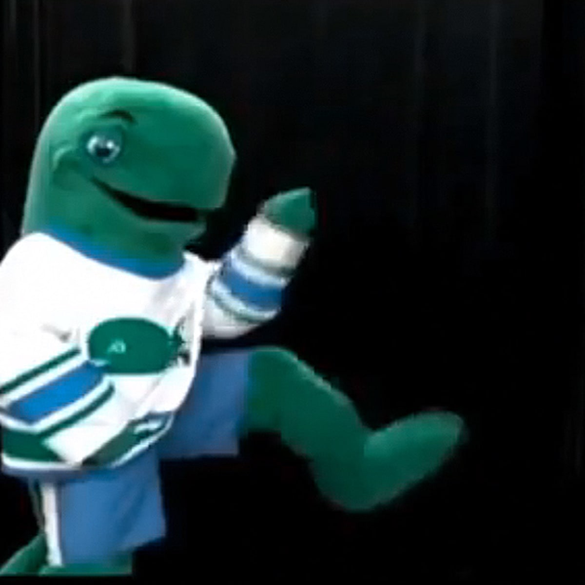 NHL Hockey Vancouver Canucks Fin The Whale Orca Plush Mascot 16