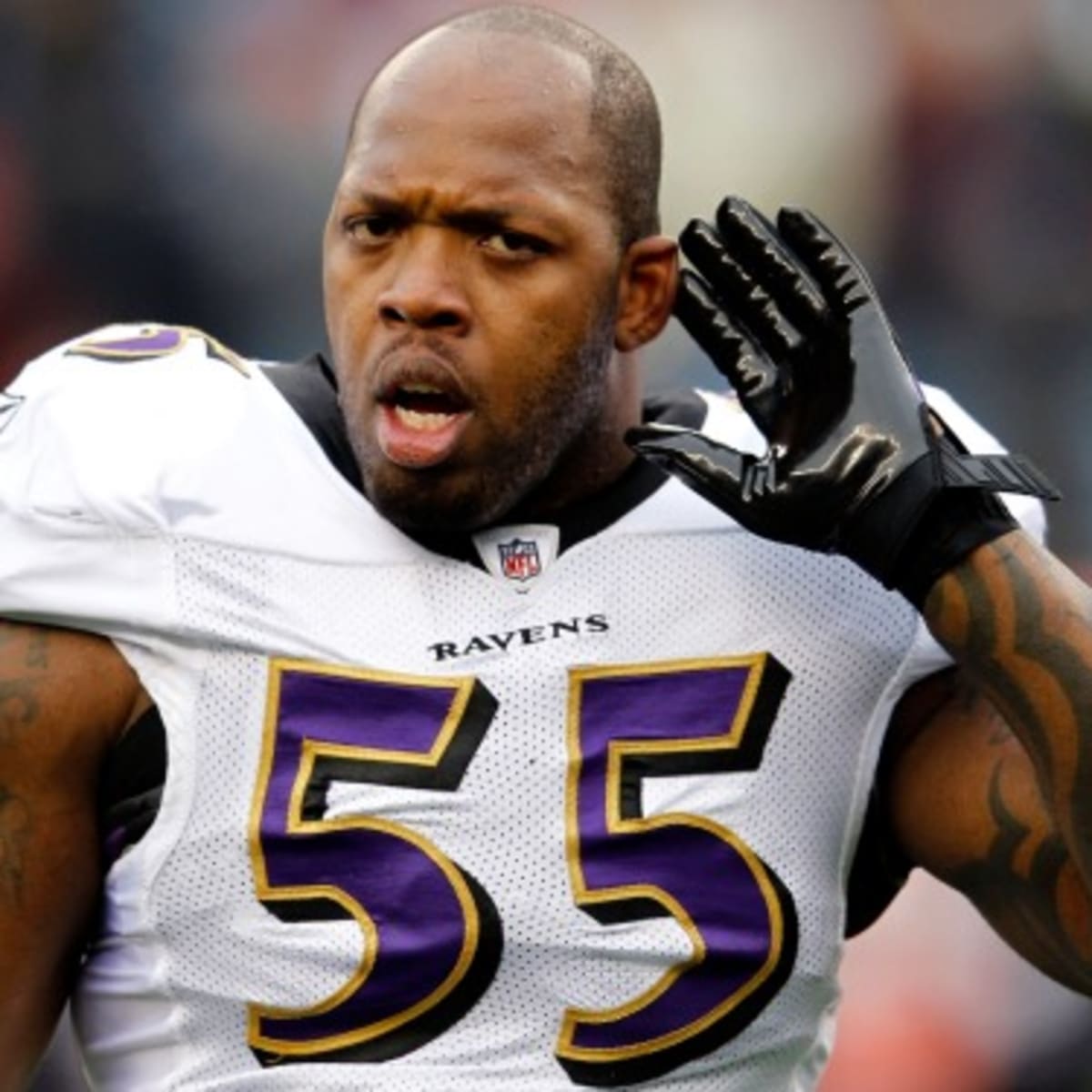 Here's What Terrell Suggs Is Saying at the Super Bowl