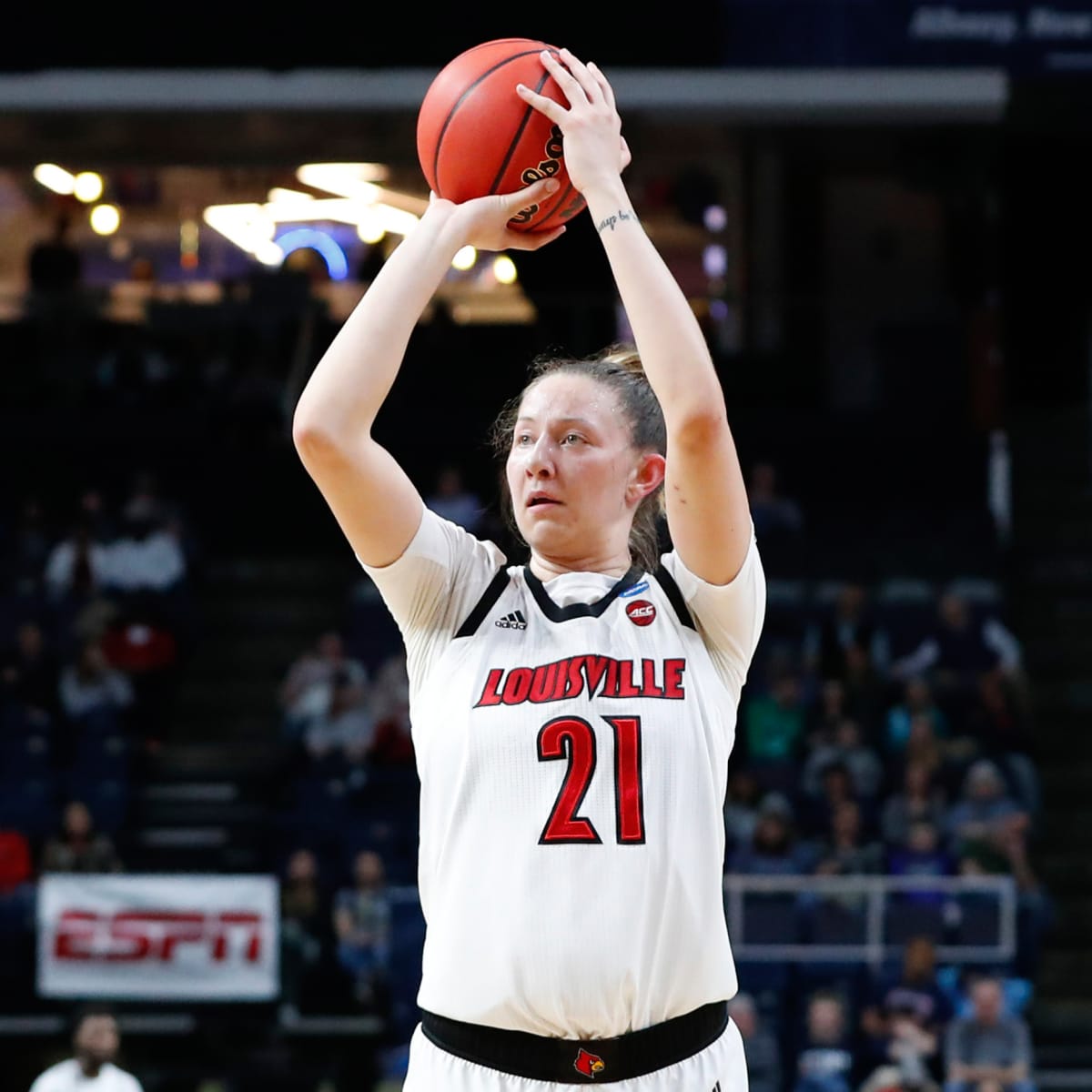 Live Blog Louisville womens basketball vs