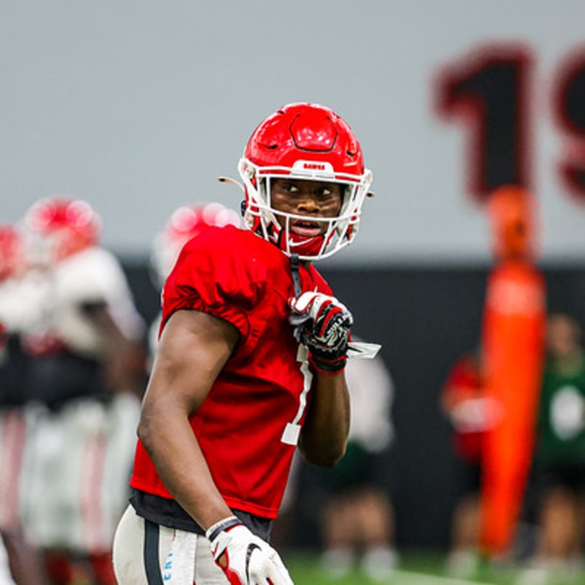 georgia bulldogs red pants