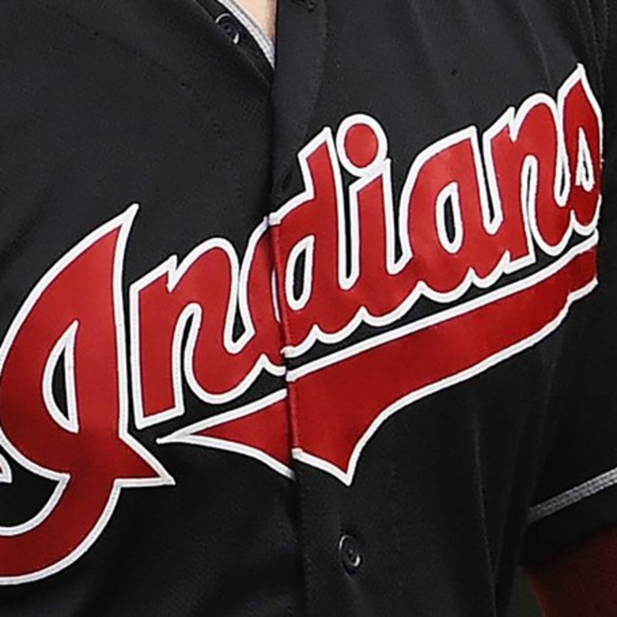 Cleveland Indigenous Groups to Indians Organization: Take the