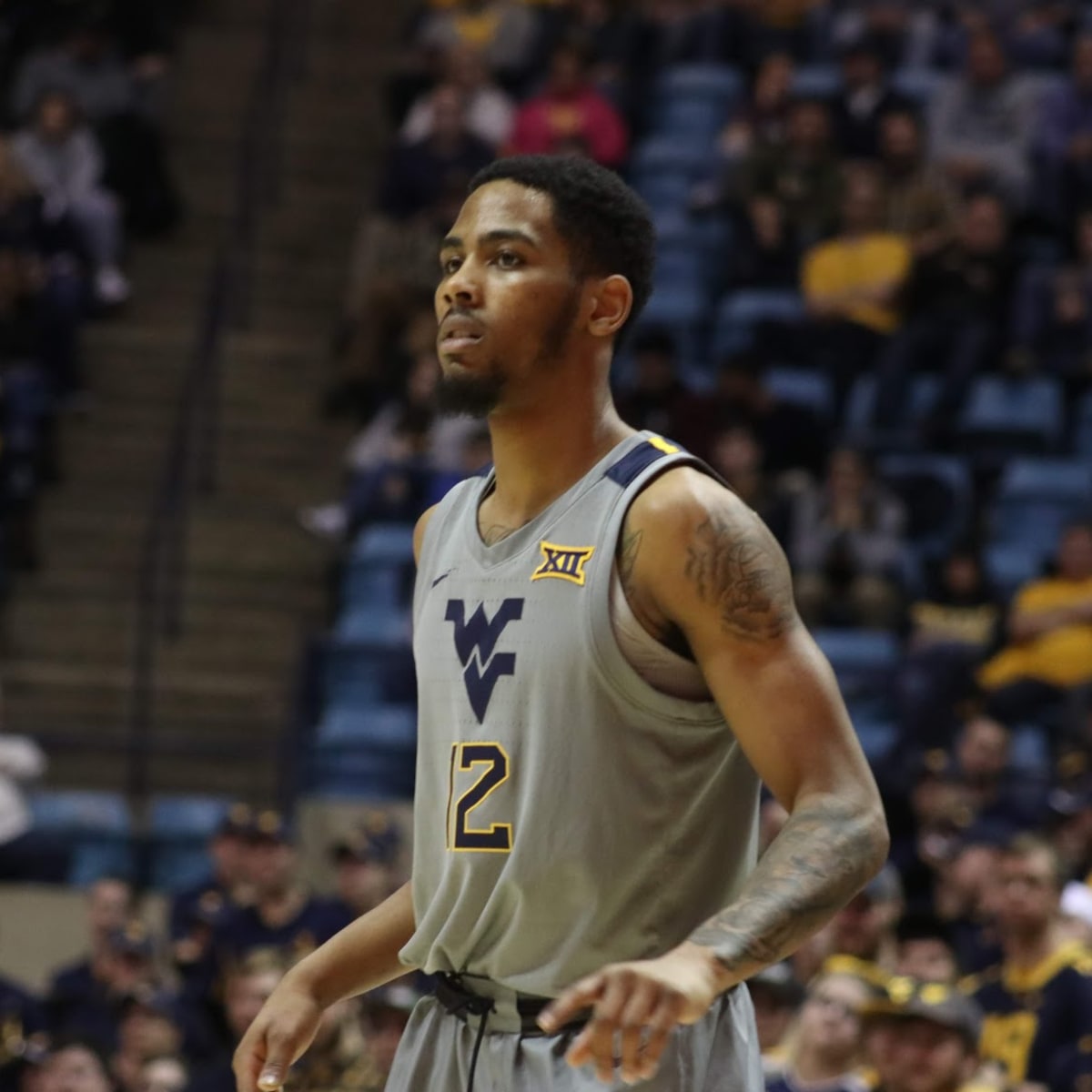 Fran Fraschilla Wvu Is A Top 10 Team Sports Illustrated West Virginia Mountaineers News Analysis And More