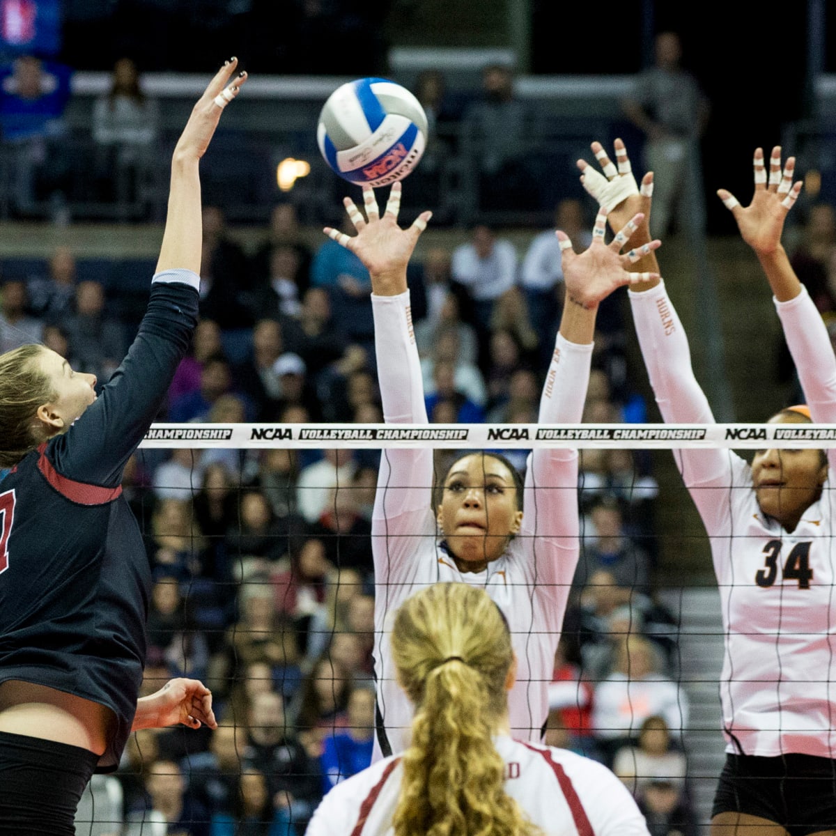 Wisconsin at Florida Free Live Stream Womens College Volleyball - How to Watch and Stream Major League and College Sports