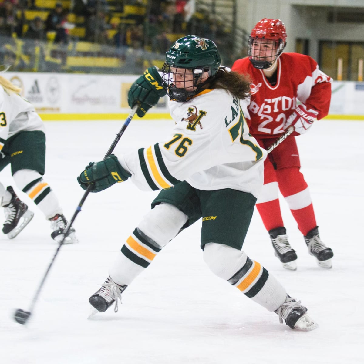 Minnesota State at Sacred Heart Live Stream Womens Hockey - How to Watch and Stream Major League and College Sports