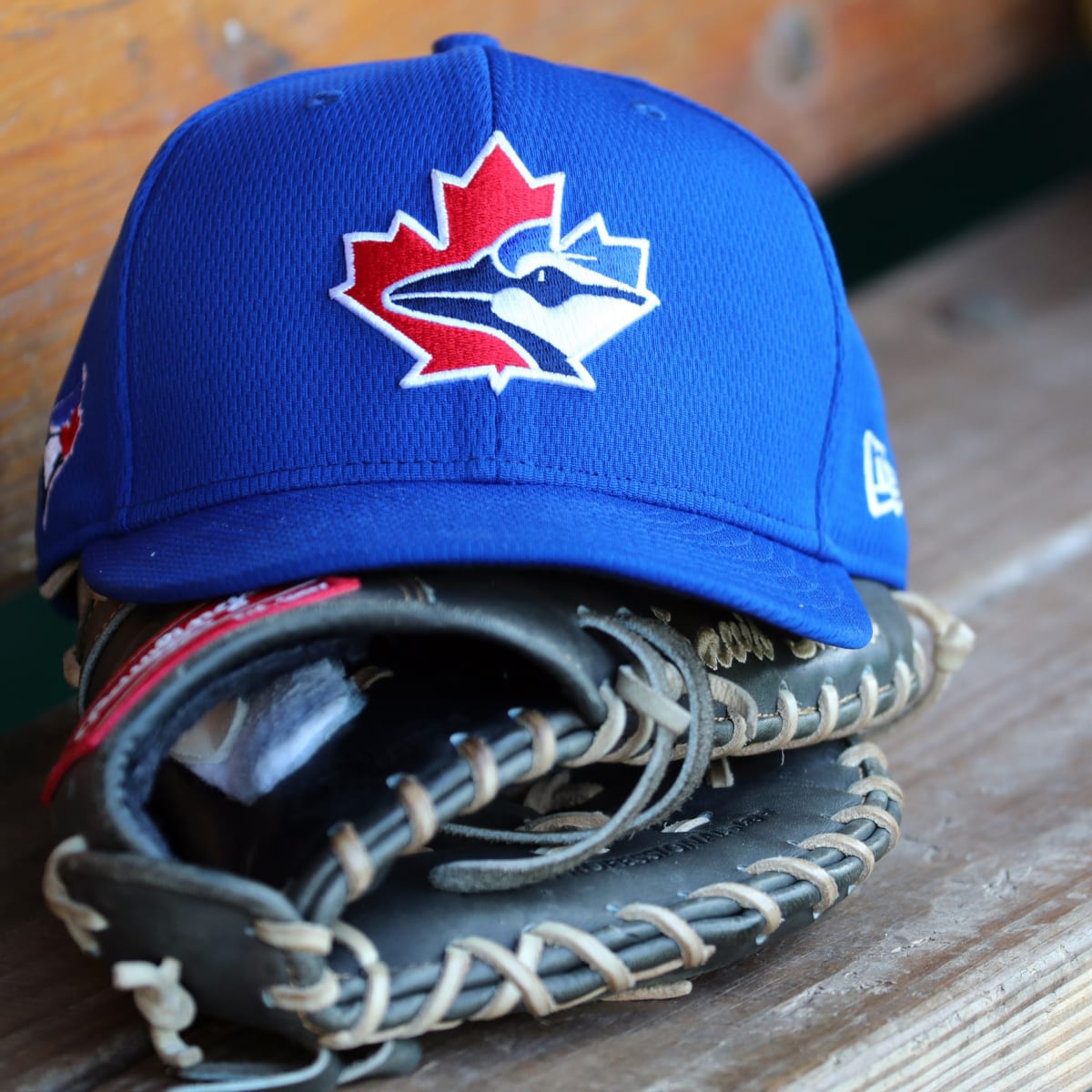 Blue Jays Players Told 'Not to Rush' Spring Training