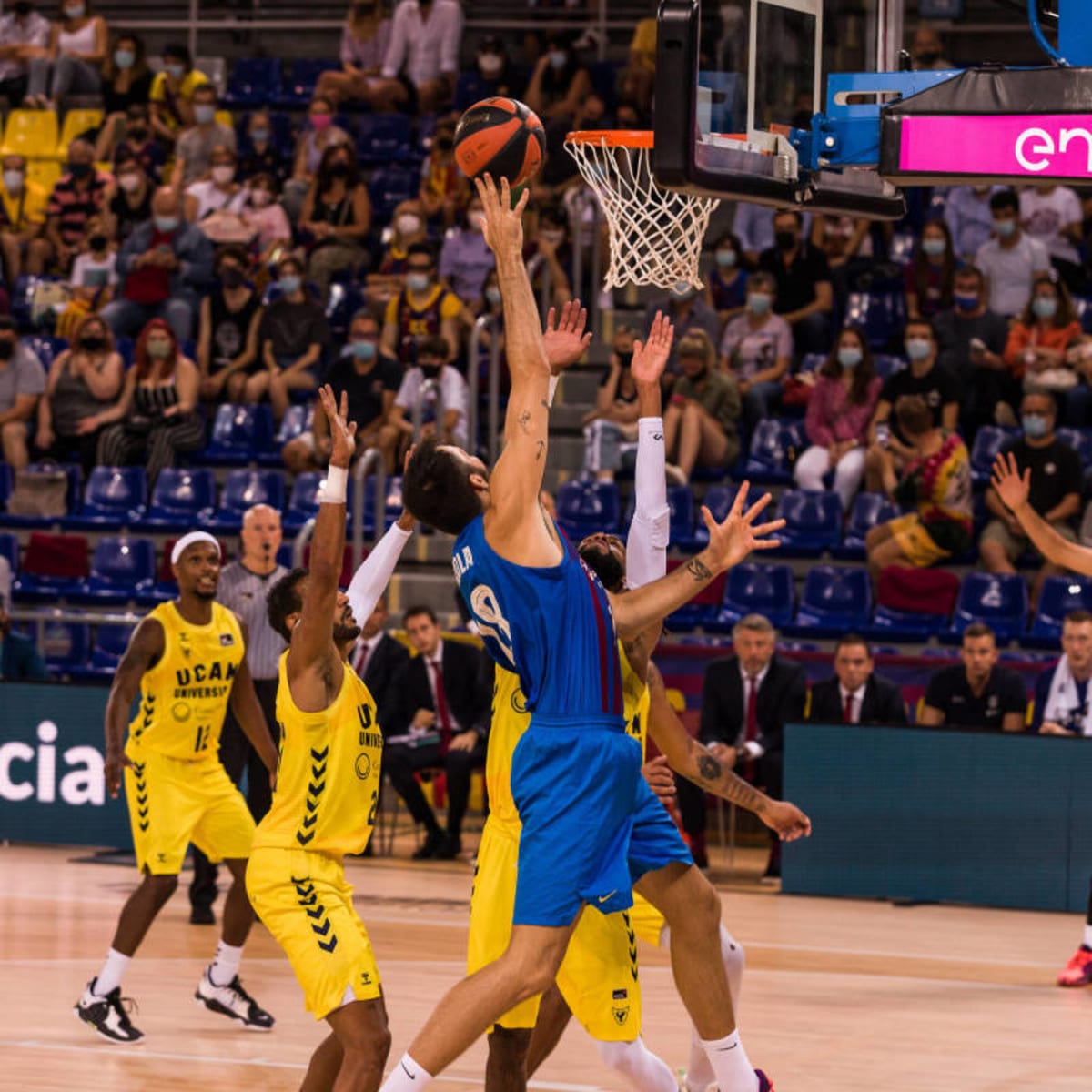Liga ACB Basketball stream Watch online, TV channel - How to Watch and Stream Major League and College Sports