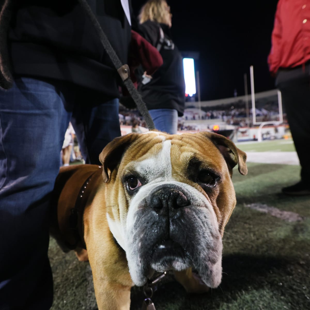 Bully the Bulldog: Mississippi State sports mascot through the years