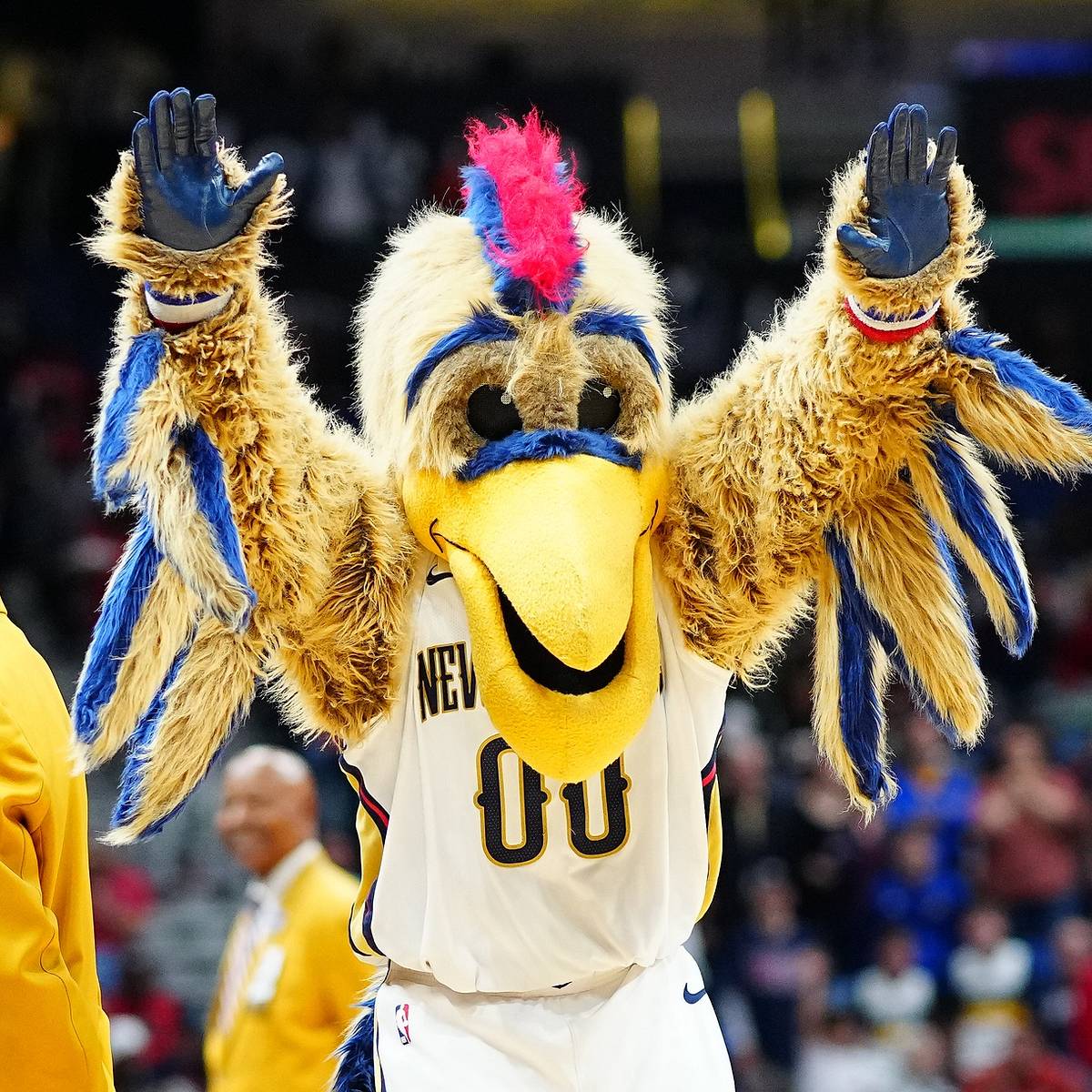 new orleans pelicans mascot hat