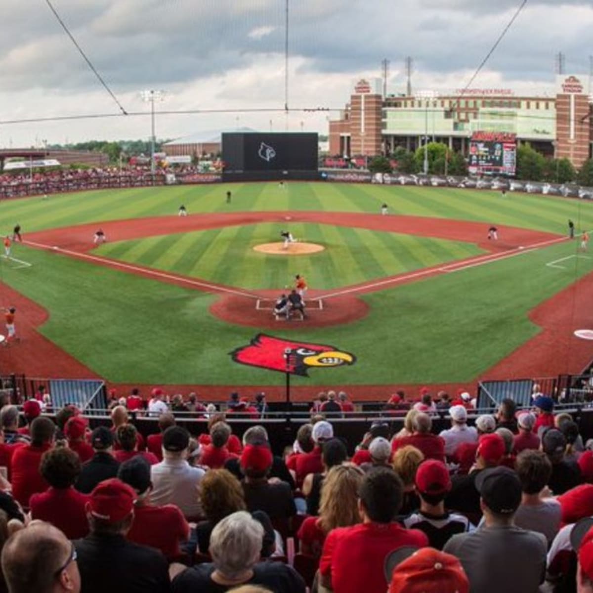Louisville Baseball Approved to Host More Fans at Jim Patterson