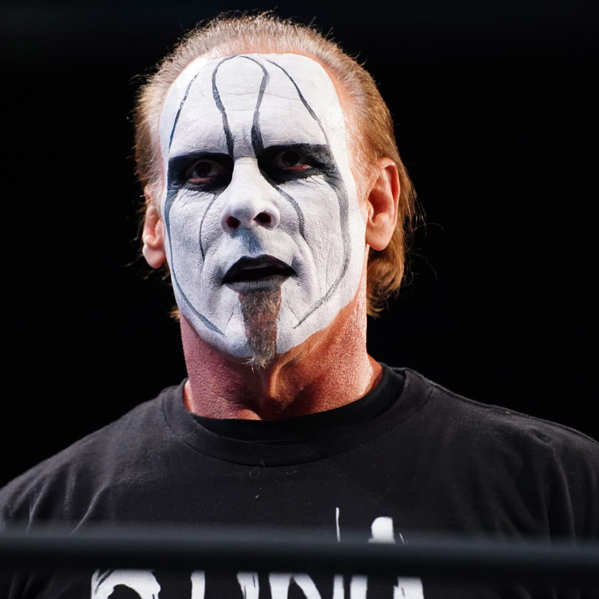 Fan site sting Sting