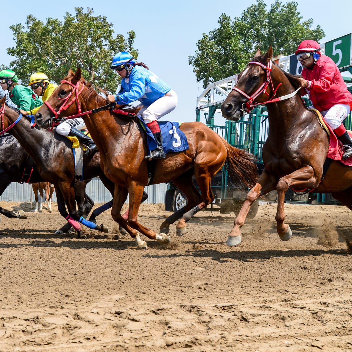 How To Watch Tvg Trackside Live Live Stream Watch Online Tv Channel Start Time Sports Illustrated What S On Tv Your Guide To Streaming