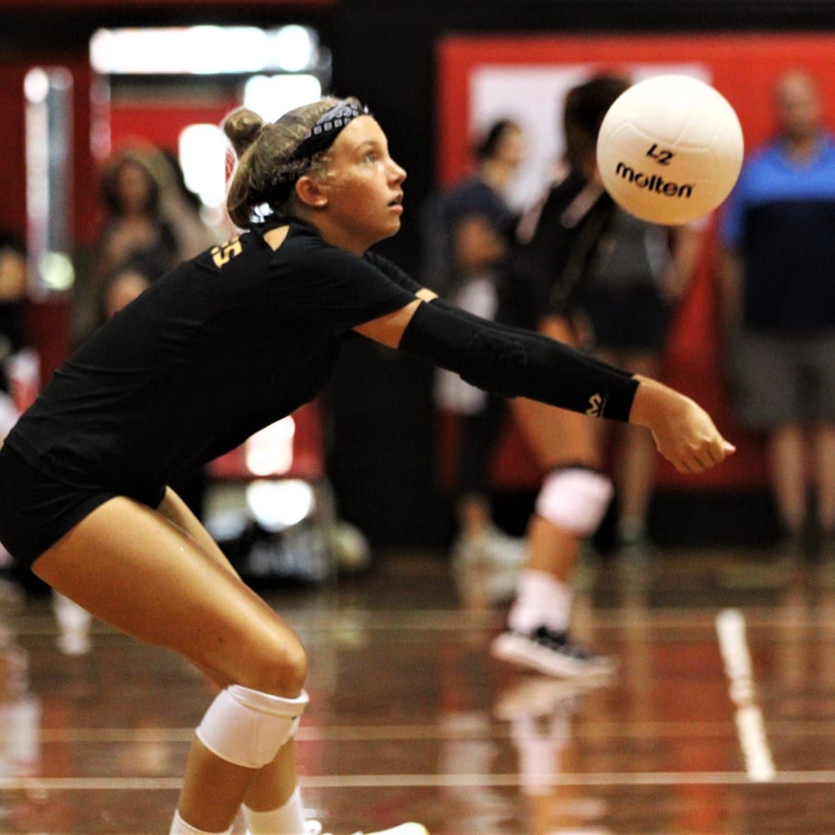 Washington at Washington State Free Live Stream Womens Volleyball - How to Watch and Stream Major League and College Sports