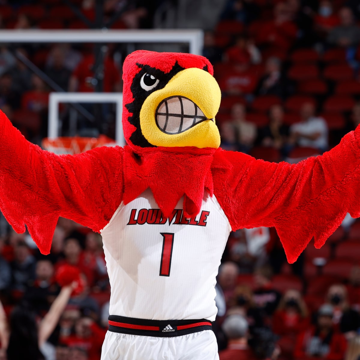 Louisville Cardinals Mascot Golf Head Cover