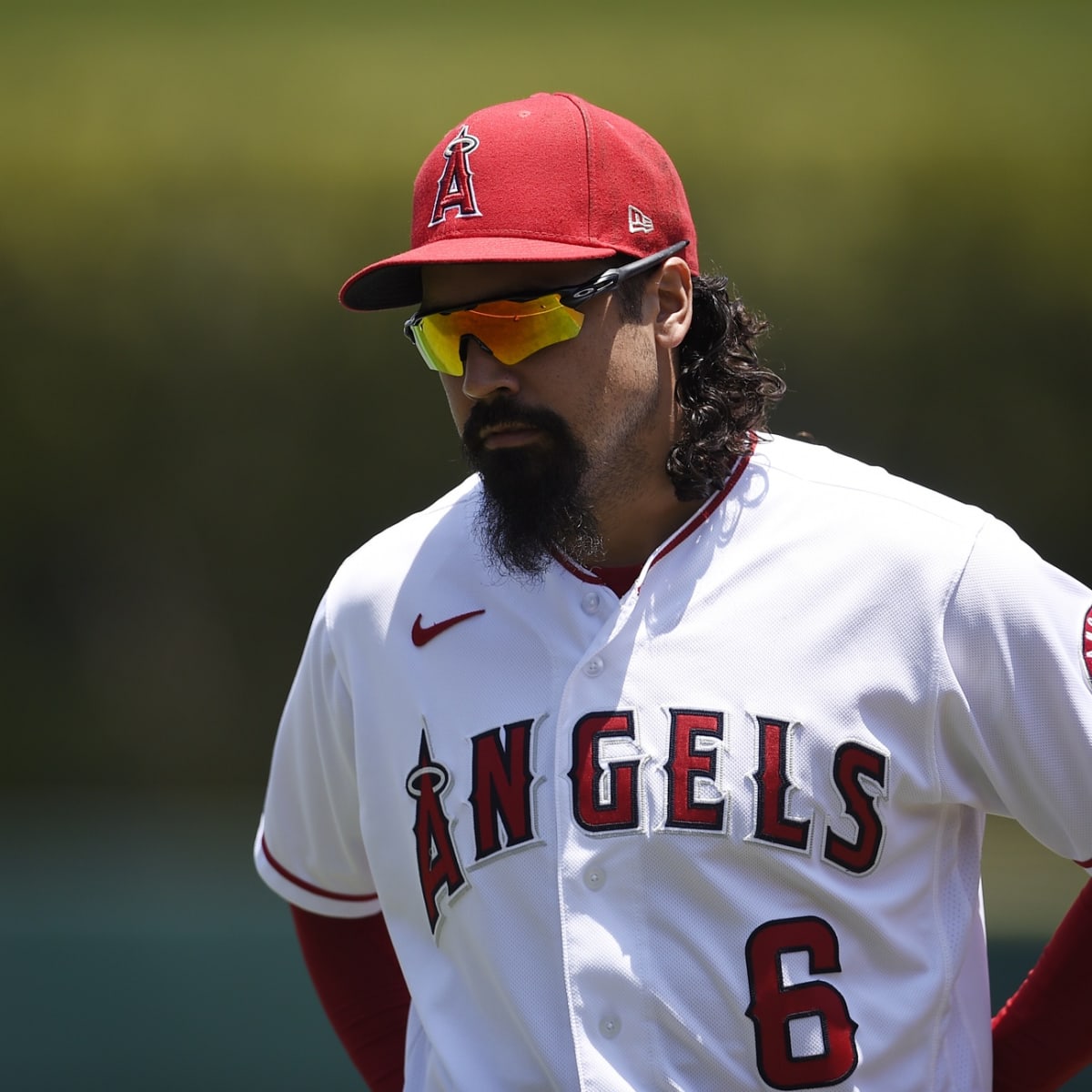MLB Investigating Anthony Rendon Following Altercation With