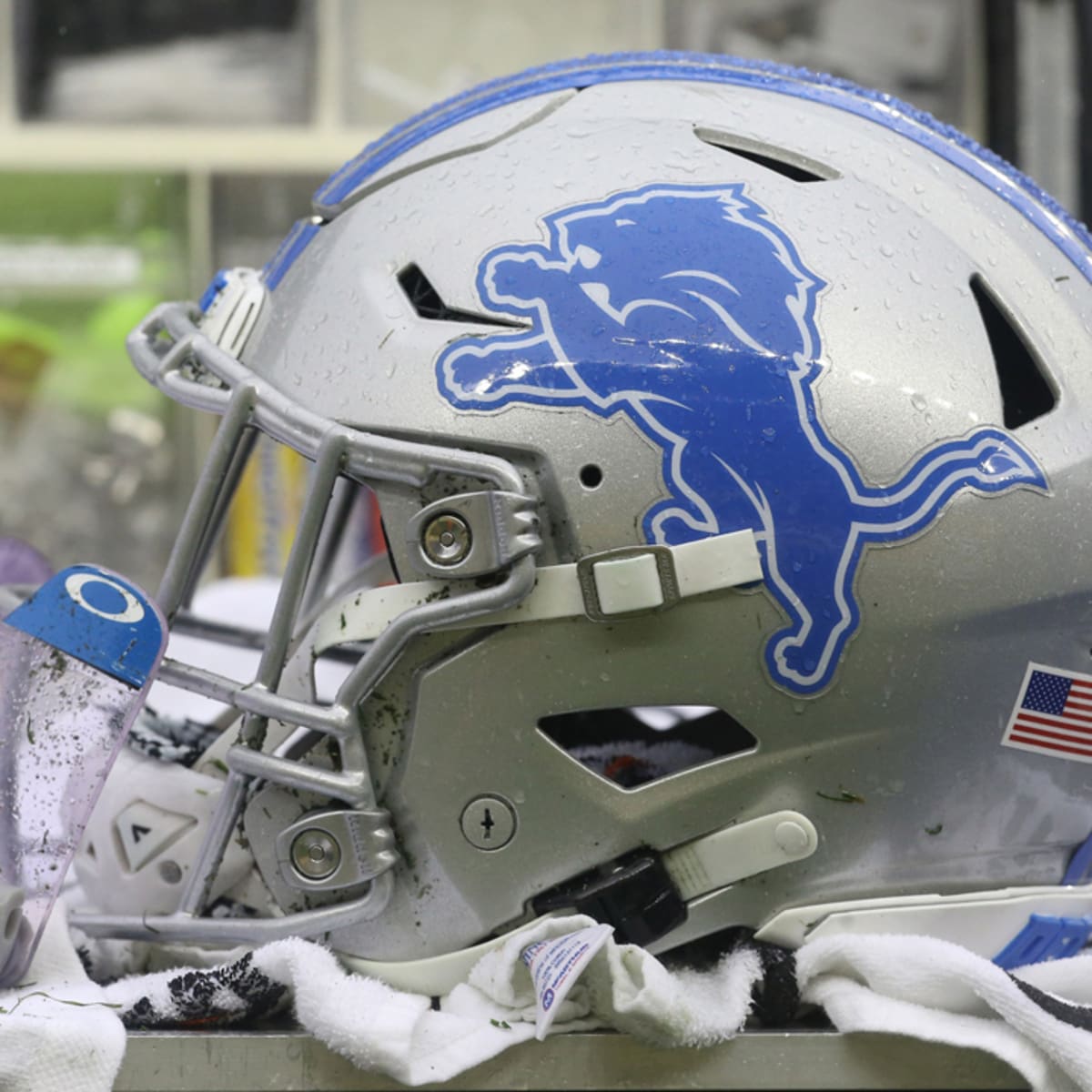 Detroit Lions logo created by fan goes viral online - Sports