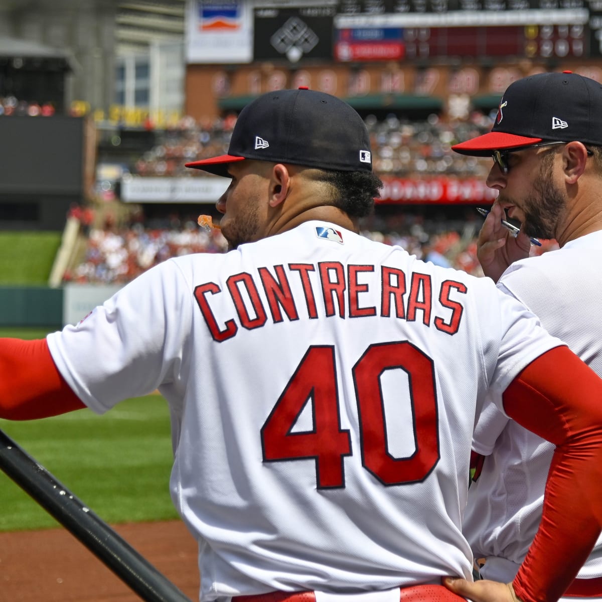St. Louis Cardinals' Willson Contreras Gets Warm Reception in