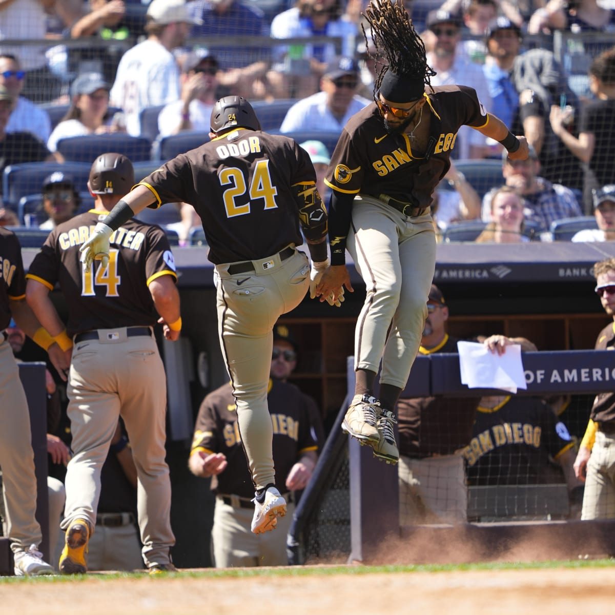 Padres News: Bob Melvin Focusing on Bright Side of SD's Series Loss to  Yankees - Sports Illustrated Inside The Padres News, Analysis and More