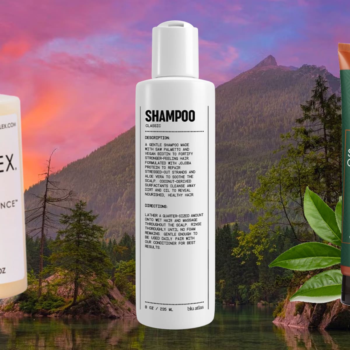18 Best Natural Clean Shampoos of 2024