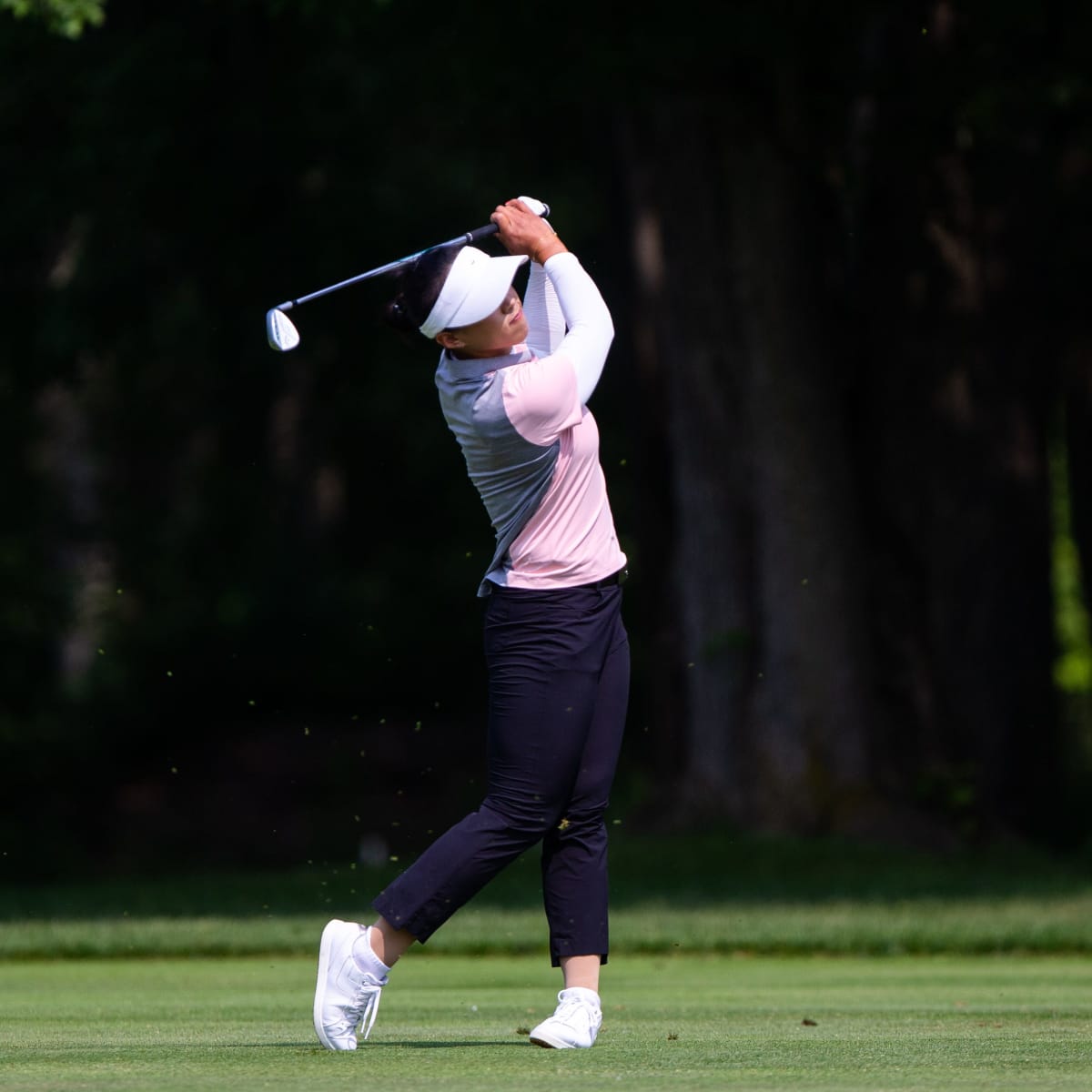 Meijer LPGA Classic, Final Round Free Live Stream LPGA Tour - How to Watch and Stream Major League and College Sports