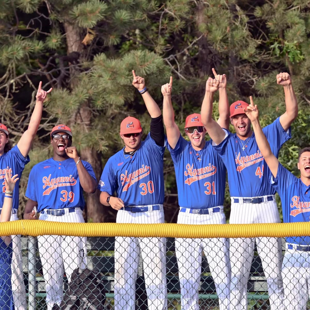 Watch Hyannis Harbor Hawks at Falmouth Commodores Stream live, TV - How to Watch and Stream Major League and College Sports