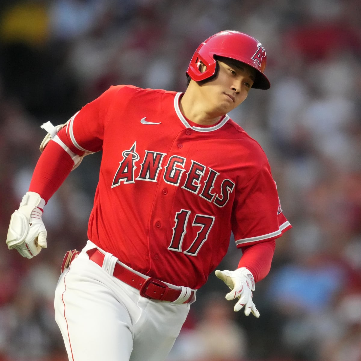LA Times reporter sees SF Giants as real Shohei Ohtani contender - Sports  Illustrated San Francisco Giants News, Analysis and More