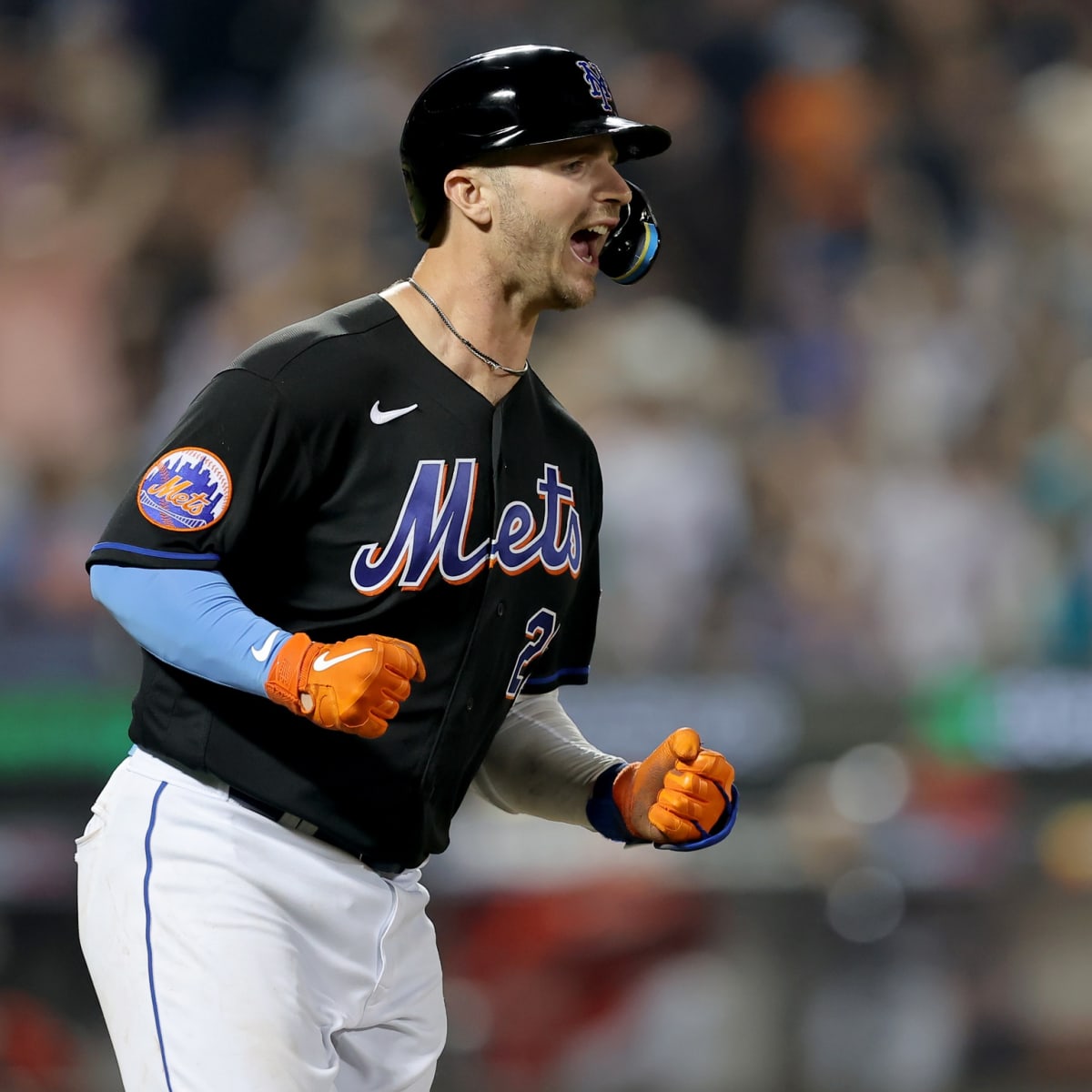 New York Mets' Pete Alonso Continues to Put Himself in Elite Company with  Regards to Franchise Records - Fastball