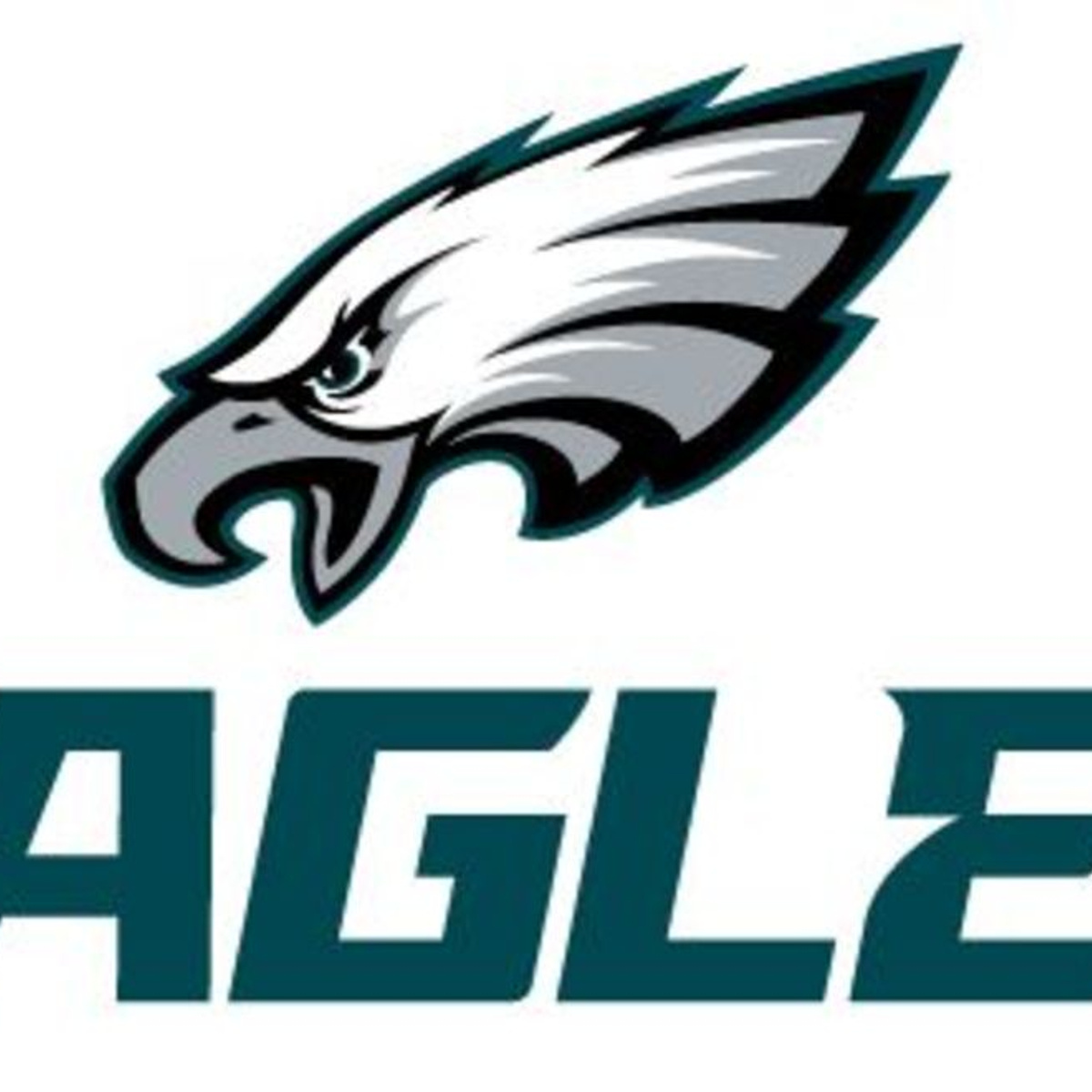 Eagles Overall Length Logbook Picture Gallery