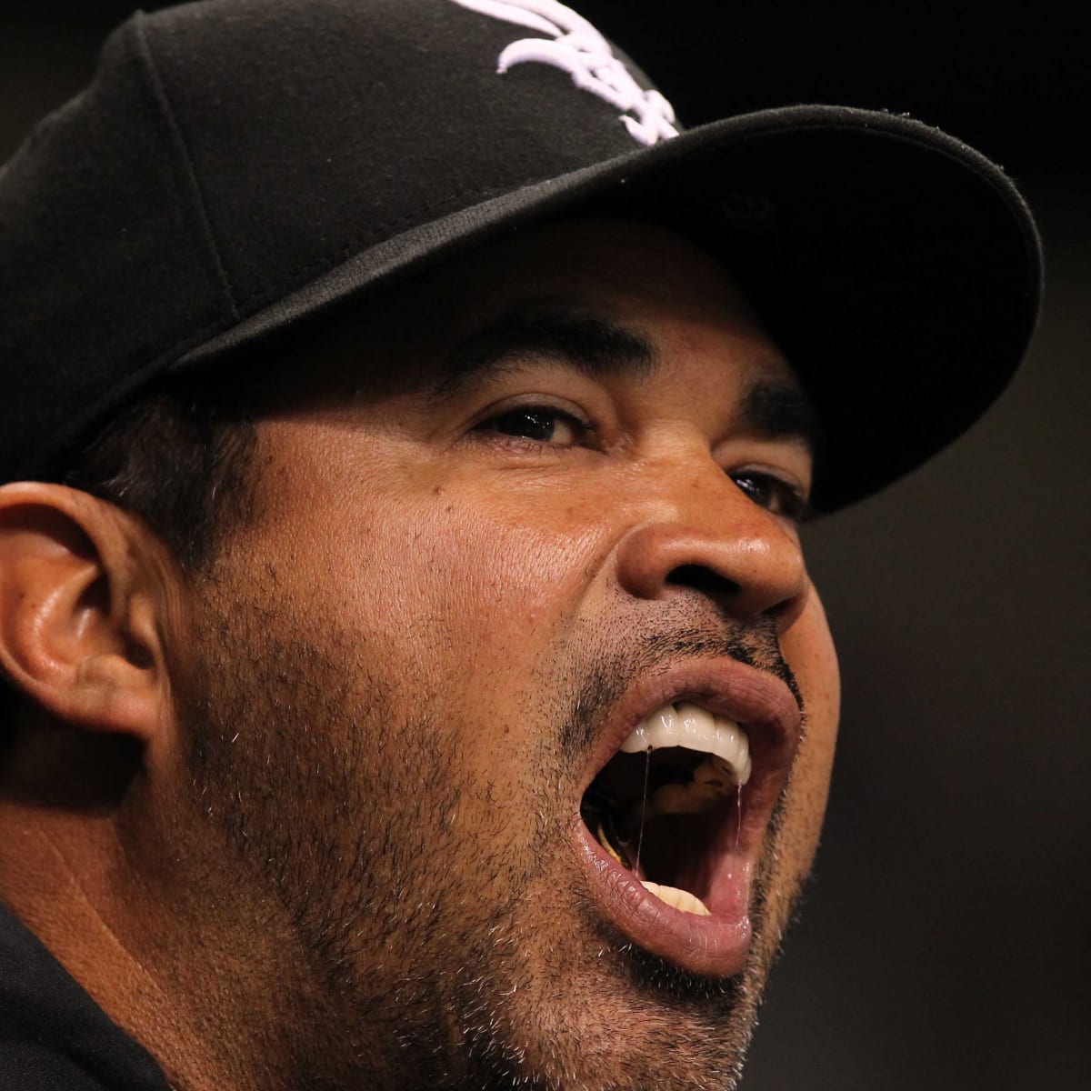 Ozzie Guillen rips MLB reporter, challenges him to boxing match