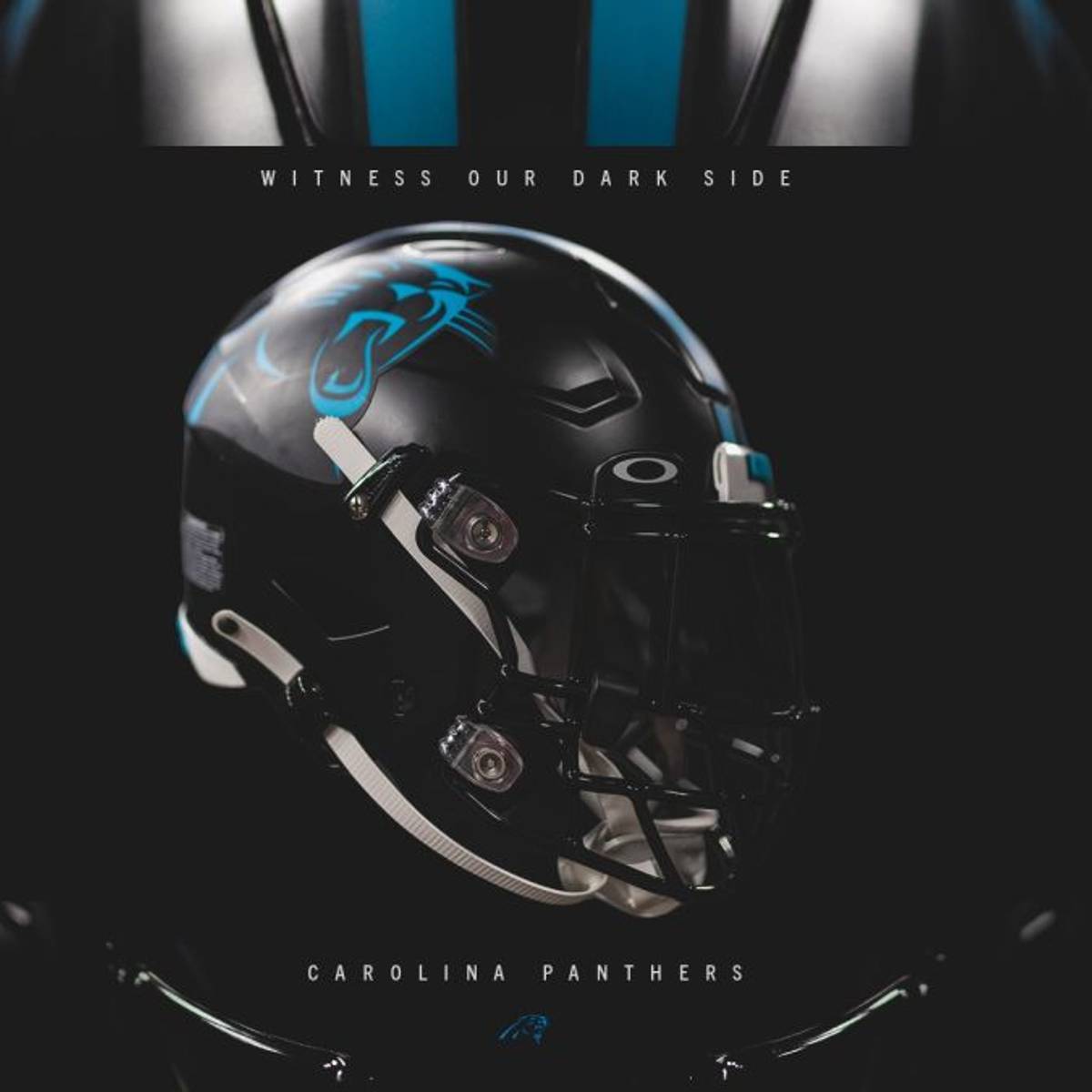 Information on the New Panthers' Helmet 