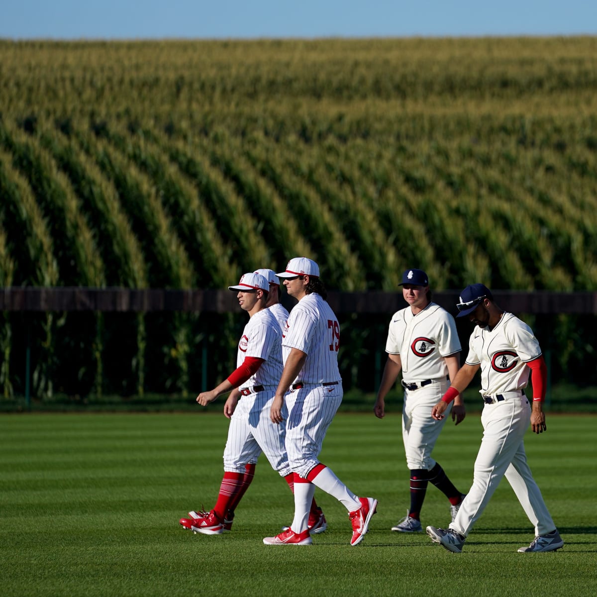 reds and cubs field of dreams uniforms