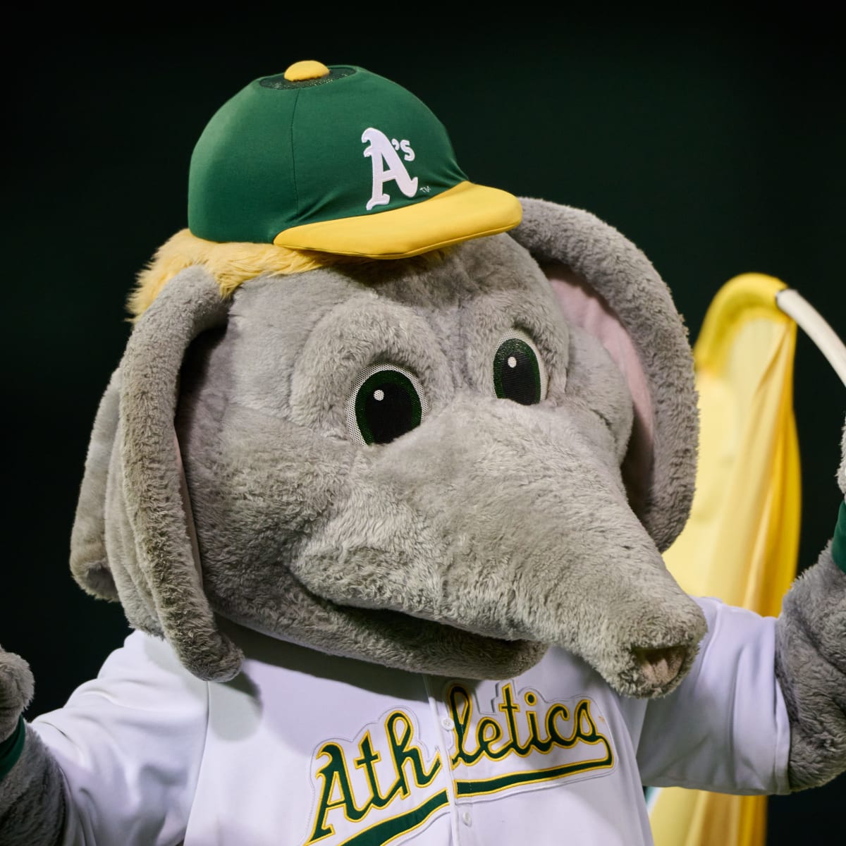 Welcome to Inside the A's! - Sports Illustrated Oakland Athletics News,  Analysis and More