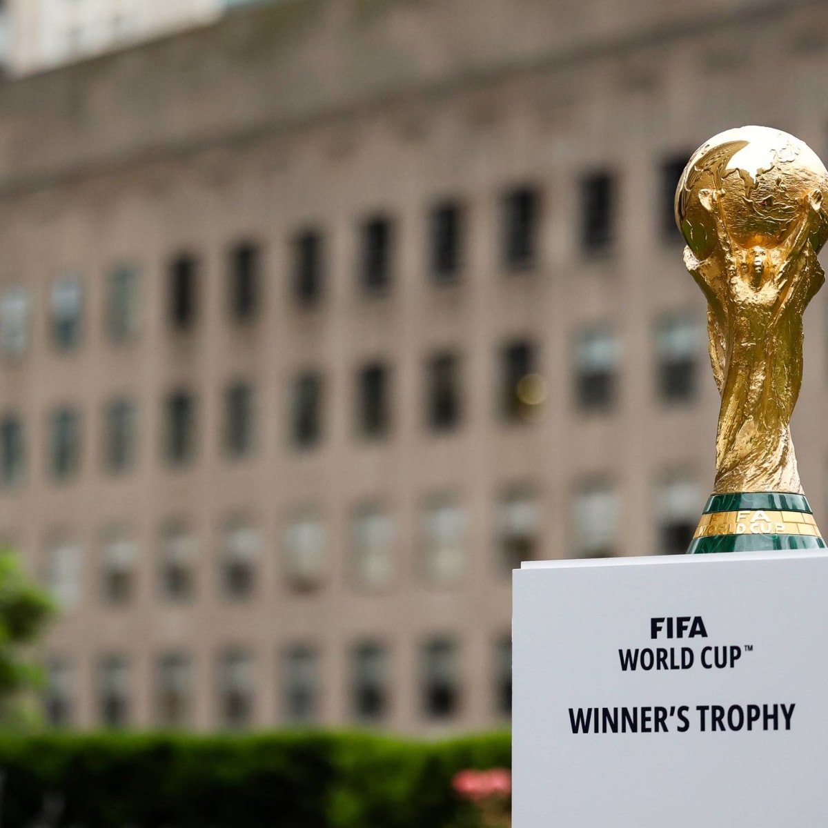 FIFA World Cup 2022 Schedule: The FIFA World Cup Starts on Sunday, 20  November 2022: Check Out Schedule, Stadiums, Teams, Tickets, and Everything  You Must Know