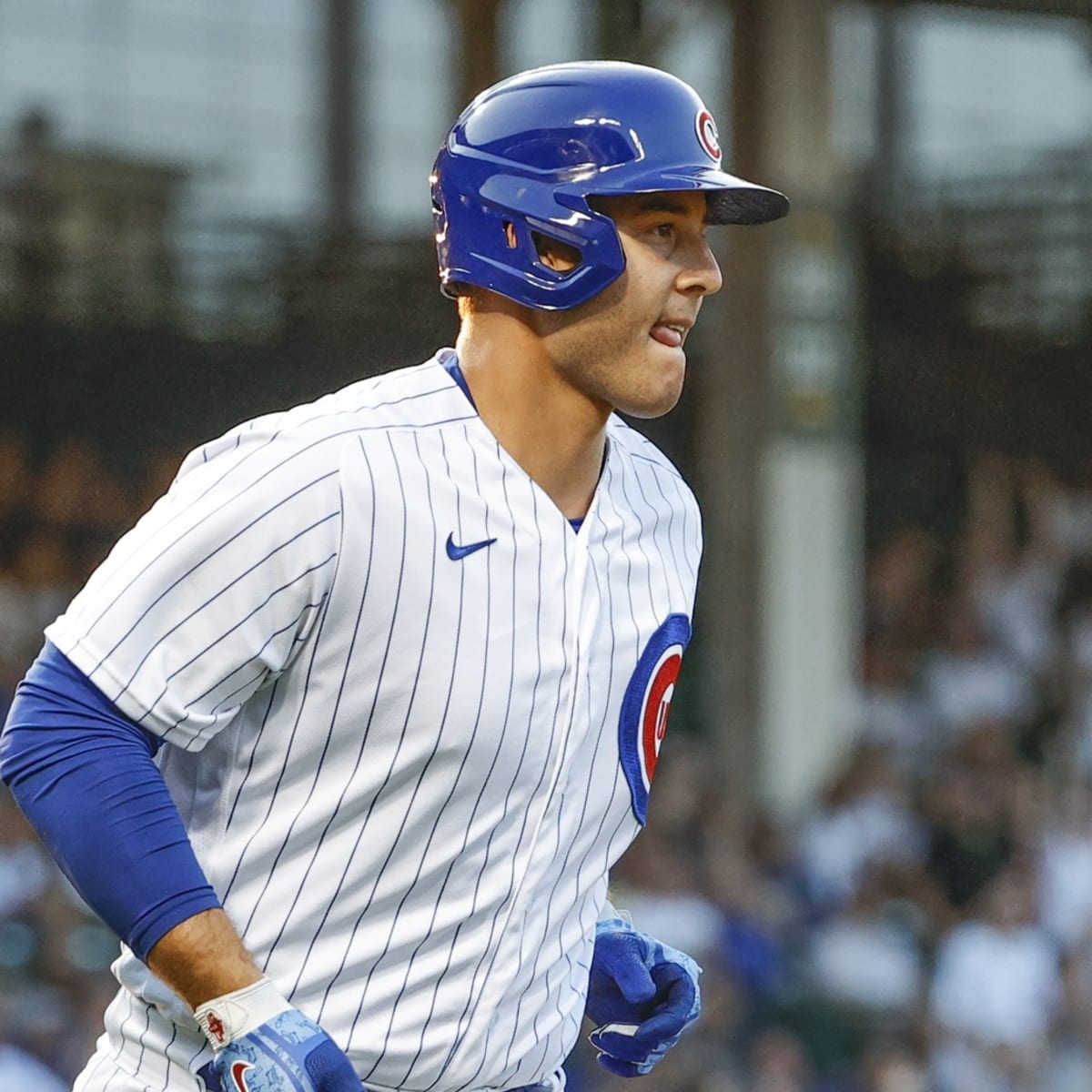 anthony rizzo cubs