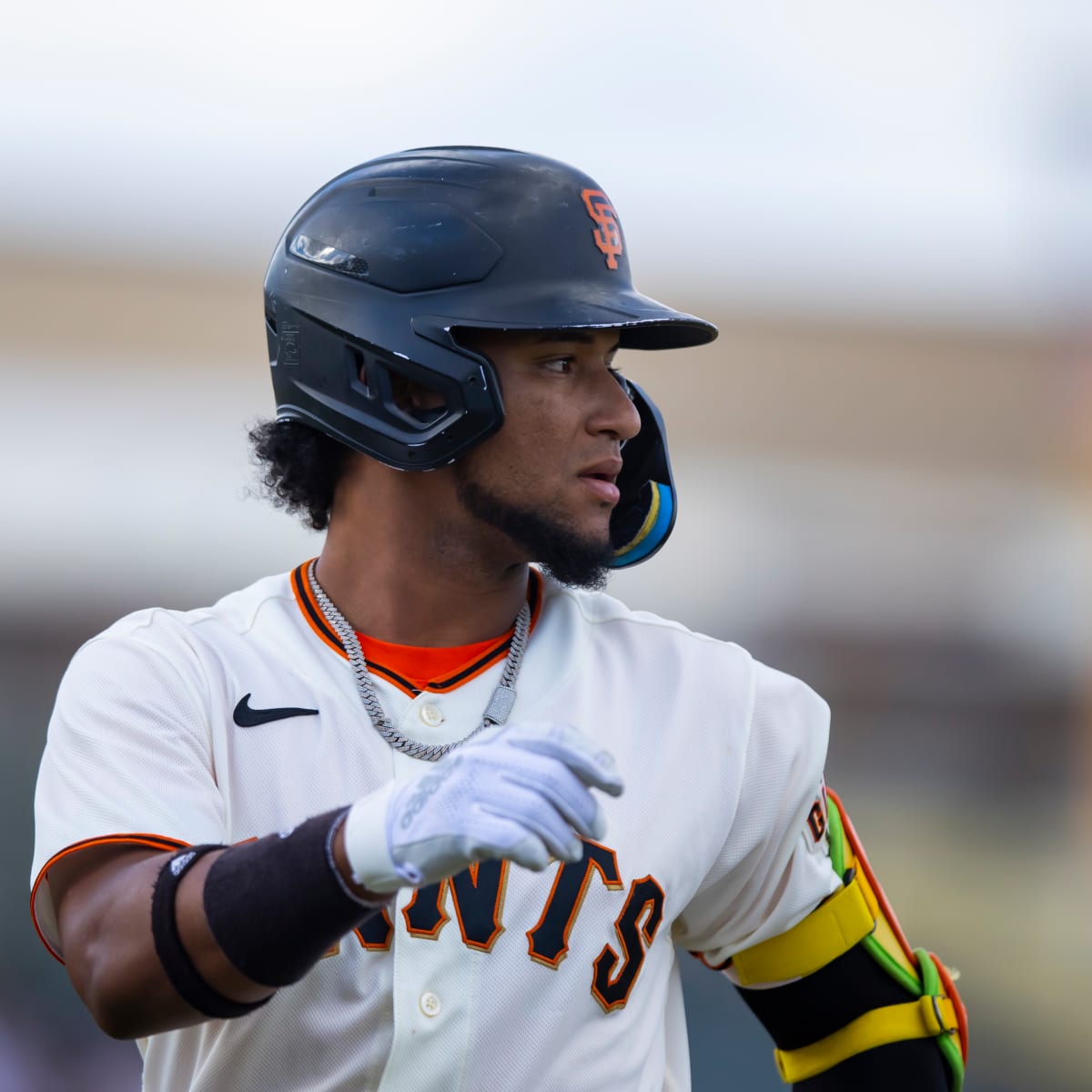 SF Giants: Get to know the Richmond Flying Squirrels roster - Sports  Illustrated San Francisco Giants News, Analysis and More