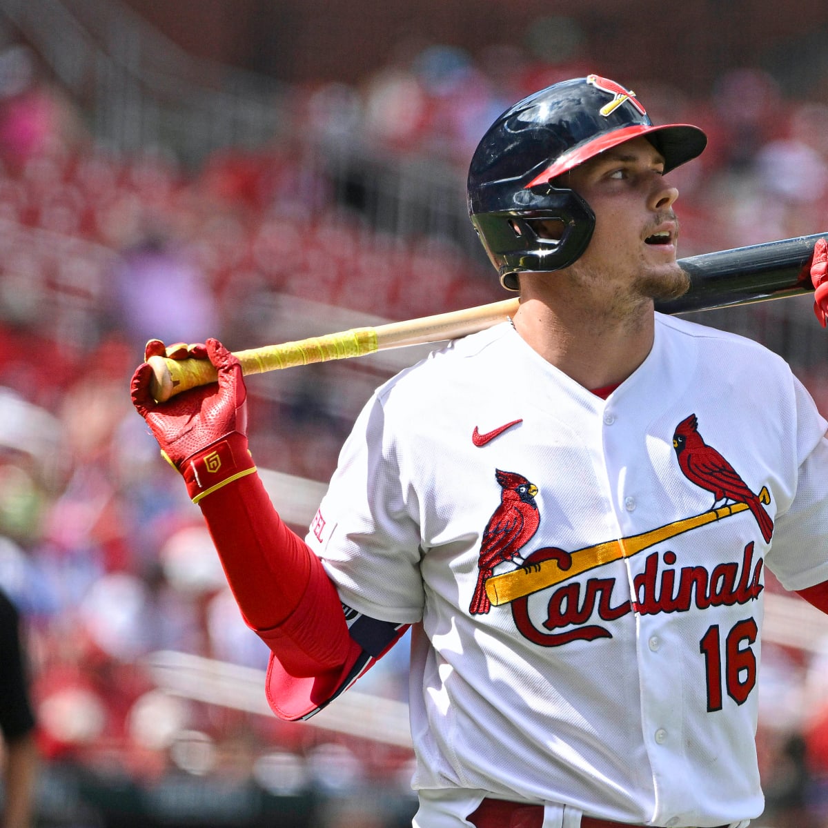 St. Louis Cardinals second baseman Nolan Gorman (16) prepares for